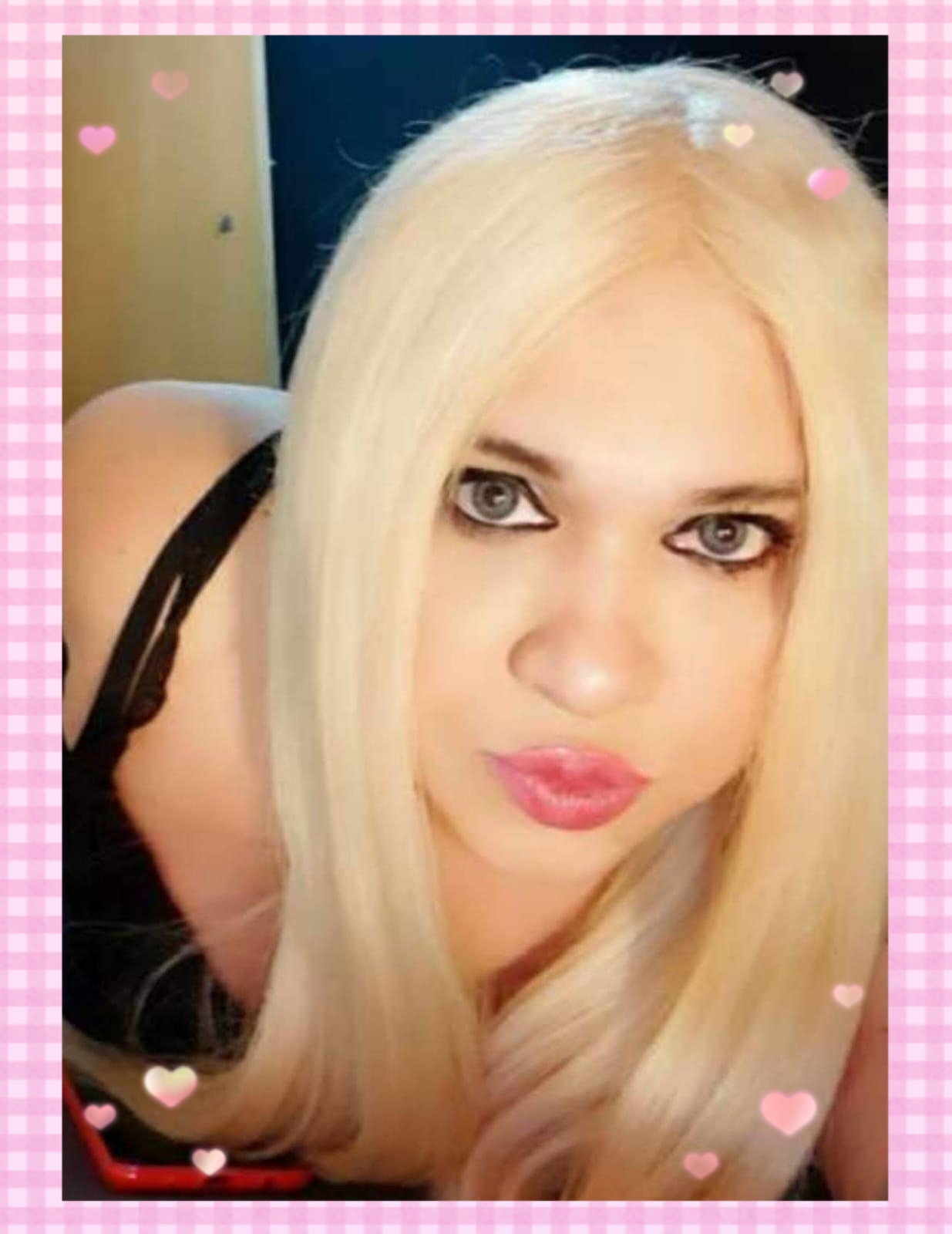 NOVEDAD NIKOL EN TORREVIEJA